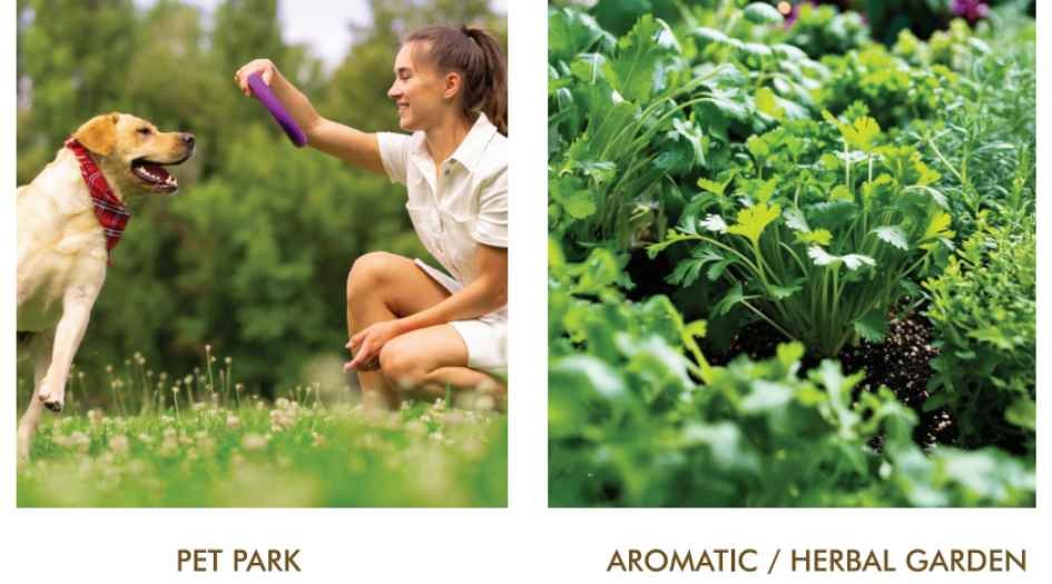 Esbee-Mizura-Residences-Amenities-Pet-Park-&-Garden